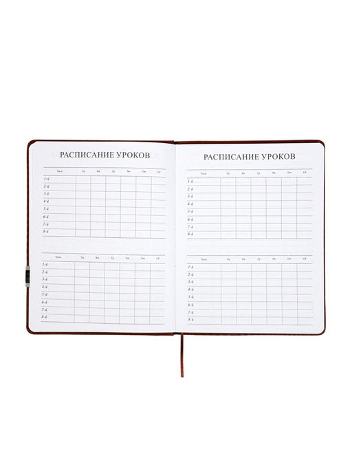 Дневник школьный 1-11 класс, лассе, обложка искуственная кожа коричневая, с хляст, с ручкой   109690