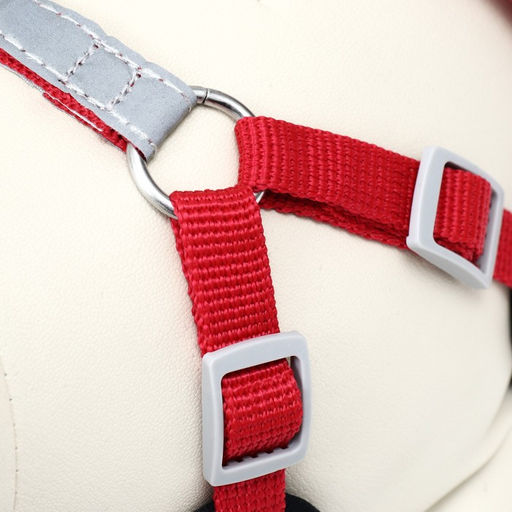 Комплект Sport+, S, поводок 120 x 1,5 см, ОШ 39-41 см , ОГ 44-48 см, вес животного 7-13 кг, красный - Пижон фото 7