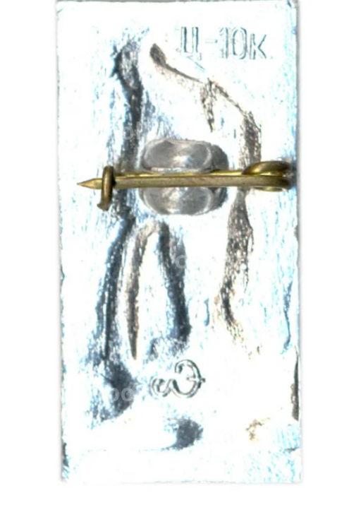 Значок Петродворец