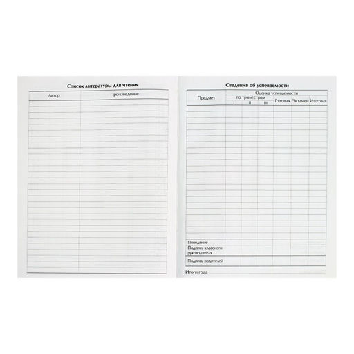 Цена за 2 шт. Дневник универсальный для 1-11 классов, «Футбол», твердая обложка 7БЦ, глянцевая ламинация, 40 листов