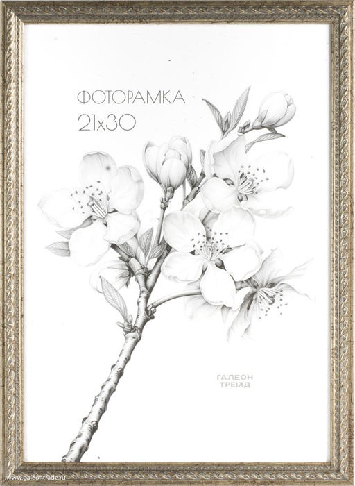 Фоторамка 21х30 / 1606C-114A /уп10 ,ф