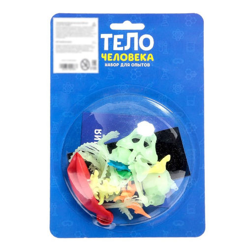 Набор для опытов Тело человека - Эврики фото 6