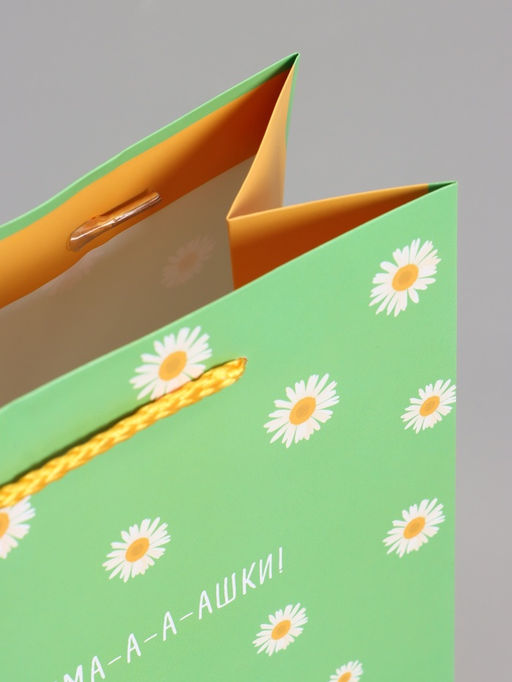 Пакет подарочный ламинированный «Ромашки - обнимашки», 18×22.3×10 см