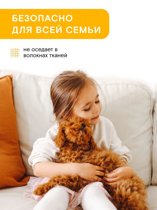 Средство пятновыводитель для чистки ковров, мягкой мебели и салона авто WONDER lab, 550мл