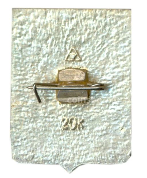 Значок Кострома