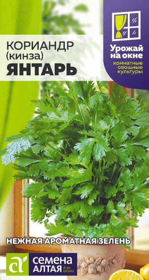 Кориандр Янтарь/Сем Алт/цп 2 гр. УРОЖАЙ НА ОКНЕ! !