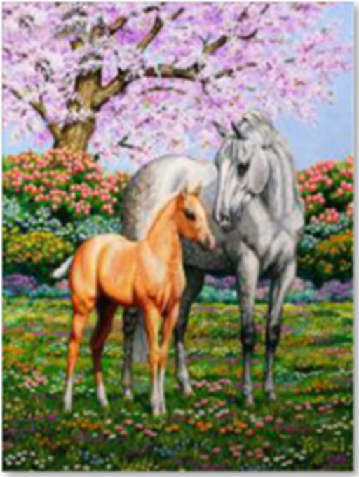 Алмазная мозаика на подрамнике 40х50 Кони в сакуре / YSG2761 /уп 30/полное заполнение