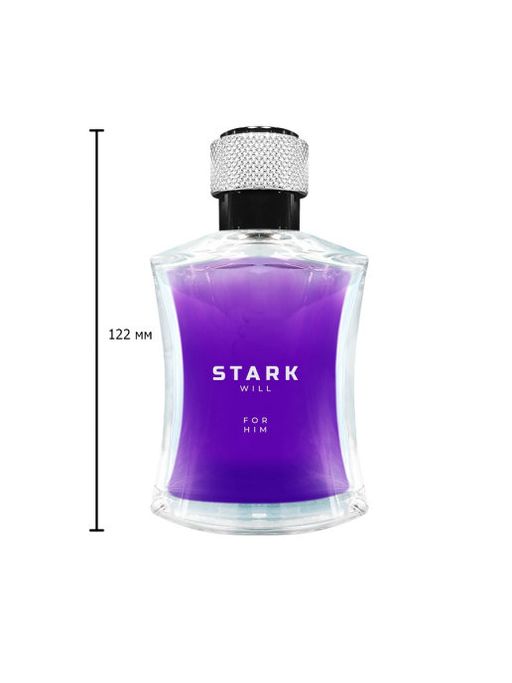 Dilis STARK WILL Туалетная вода для мужчин 100 мл  фото 2