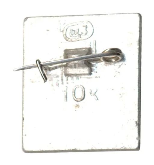 Значок Шушенское