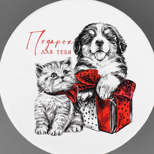 Коробка новогодняя подарочная круглая «Подарок для тебя», 14 х 16 см