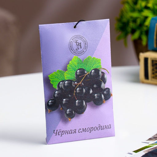 Цена за 4 шт. Аромасаше «Чёрная смородина», 10 г, «Богатство Аромата»