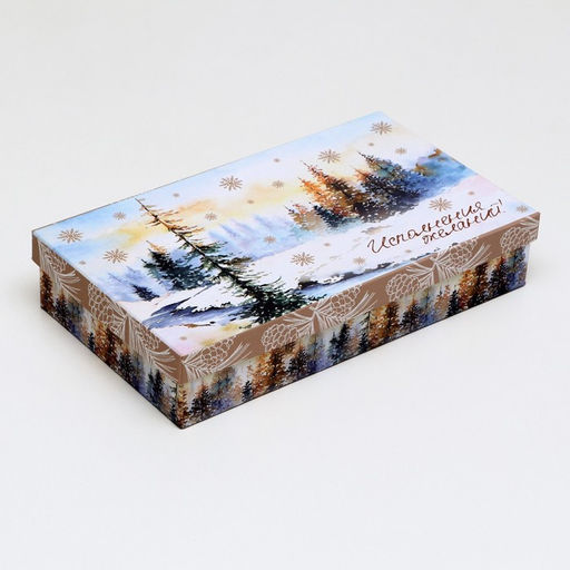 Набор подарочных новогодних коробок 4 в 1 «Зимние чудеса», 30×20×8 - 24×14×5 см