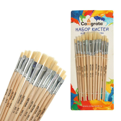 Набор кистей для рисования, щетина, 12 штук: № 1, 2, 3, 4, 5, 6, 7, 8, 9, 10, 11, 12, плоские, деревянная ручка, международный размер
