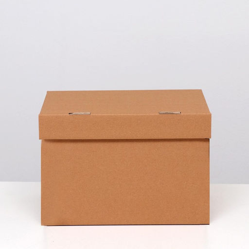 Коробка для хранения "А4", бурая, 32,5 x 23,5 x 23,5 см