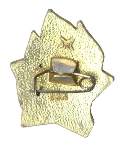 Значок Всегда Готов!