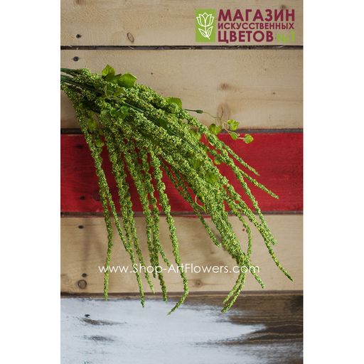 084 Амарант - Без тм фото 2