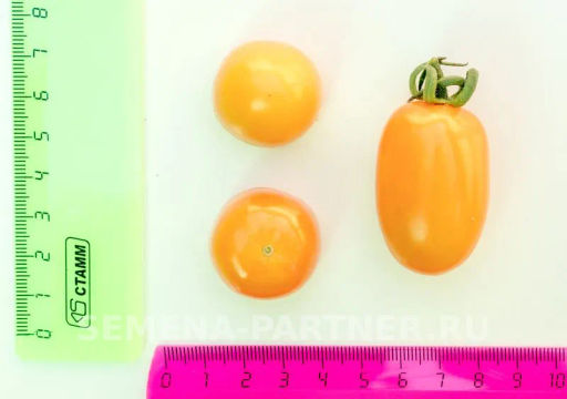 Томат Черри Магнифика - Партнер фото 3