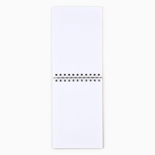 Скетчбук А6, 40 листов, в мягкой обложке, на гребне, 100 г/м² «Мечты сбываются в Новом году!»