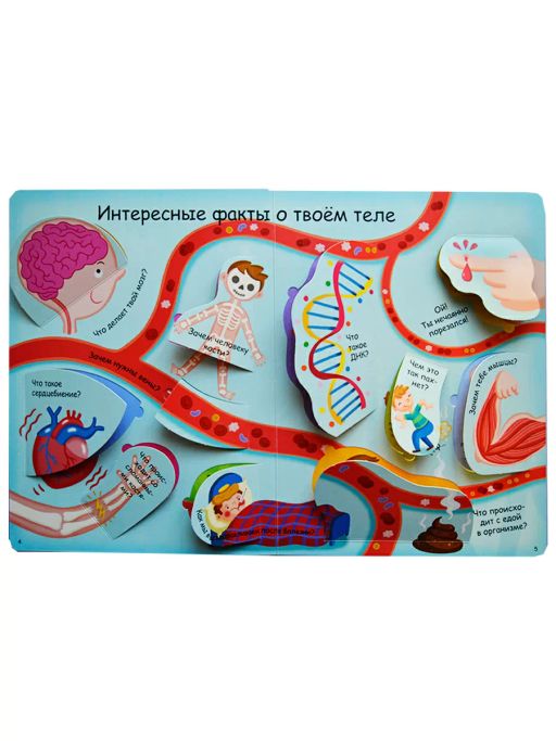 Волшебные окошки. Как все устроено? - Робинс фото 3