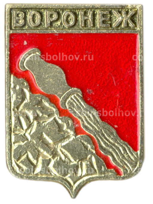 Значок Воронеж