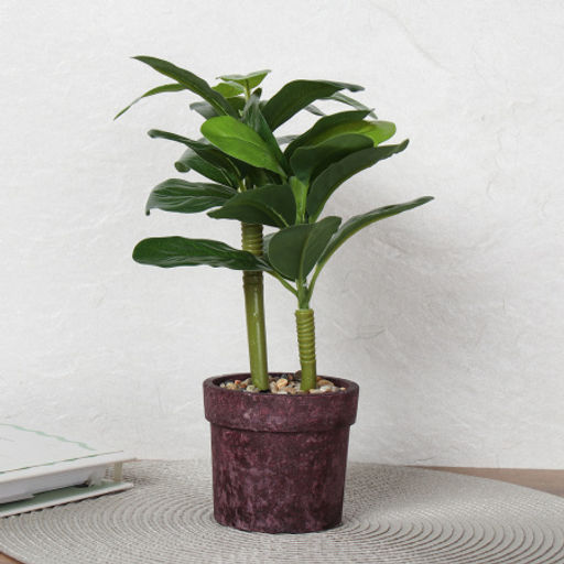 Цветочная композиция Зелень 26 см / 9090-14 /уп 12/72/ - Галеонтрейд фото 13