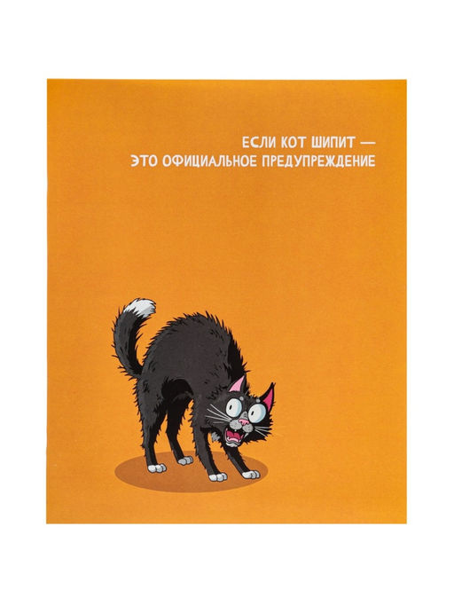 Цена за 160 шт. Тетрадь 24 листа в линейку Calligrata «Кошачьи мемы», блок офсет, 5 В МИКС
