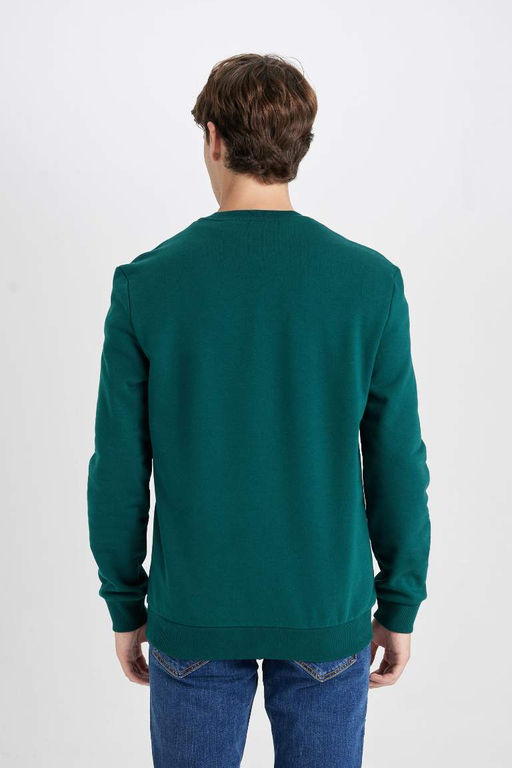 Новый свитшот из плотной ткани с принтом и круглым вырезом стандартного кроя - Defacto фото 6