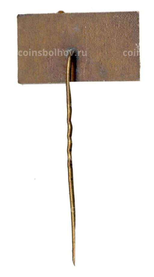 Значок Паланга