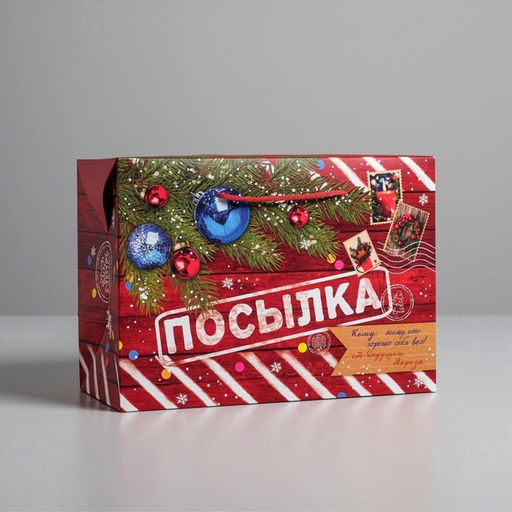 Цена за 2 шт. Пакет?коробка подарочный Новогодняя посылка, 28?20?13 см