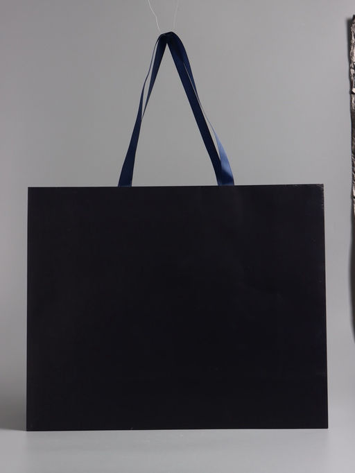 Пакет подарочный ламинированный горизонтальный «Синий», 48×39×16 см