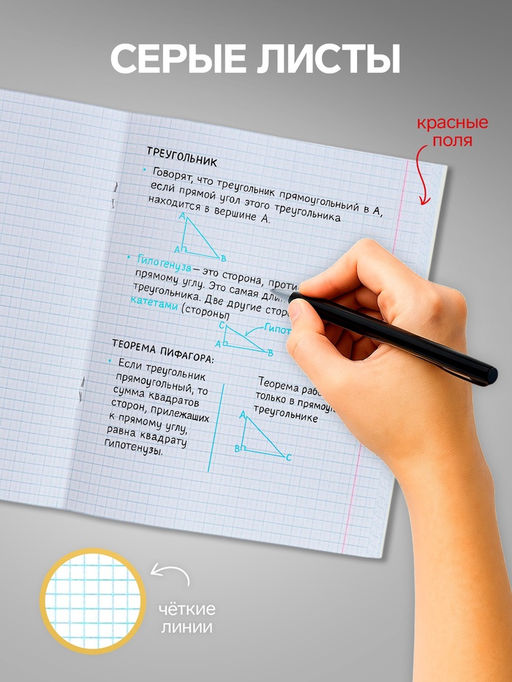 Комплект тетрадей из 10 штук, 18 листов в клетку Calligrata "Однотонная Классика точку. Эконом", обложка мелованный картон, ВД-лак, блок №2, белизна 75...