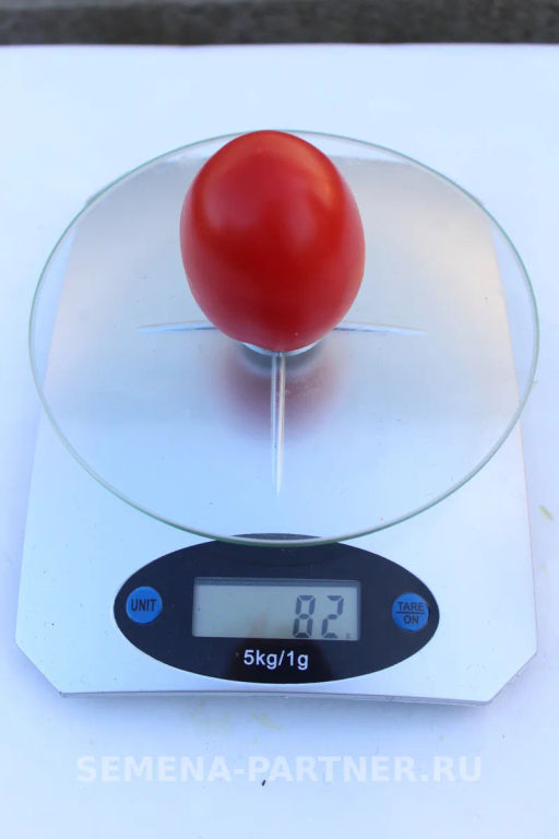 Томат Везувий - Партнер фото 5