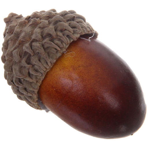 Цена за 3 шт. Муляж "Желуди" 50шт в сетке