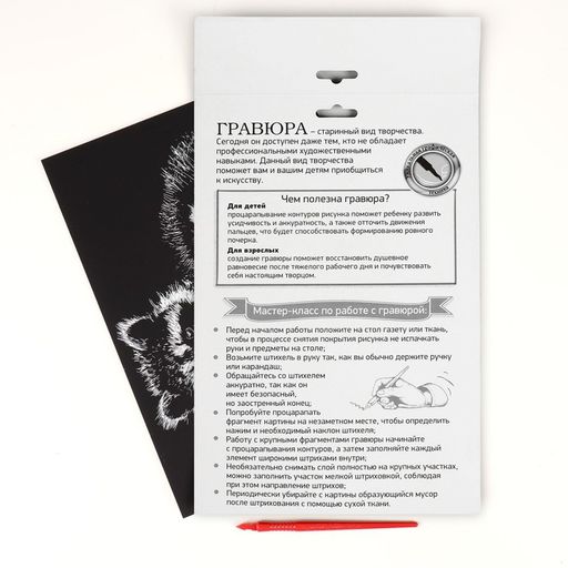 Гравюра Еноты с металлическим эффектом серебро А4 - Школа талантов фото 4