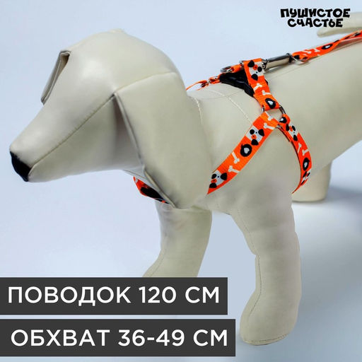 Комплект Собака, шлейка 36-49 см, поводок 120х1.5 см