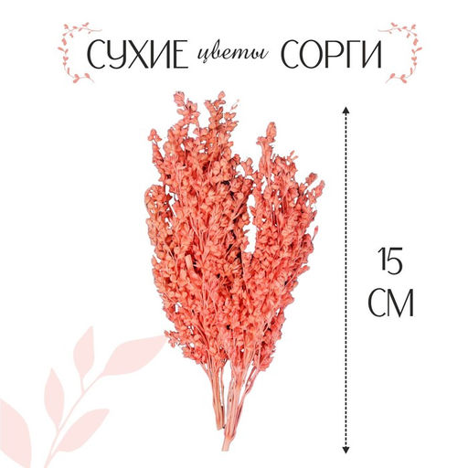 Сухие цветы сорги, 5 г, цвет розовый - Simaland фото 3