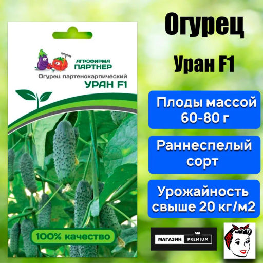Огурец партенокарпический Уран
