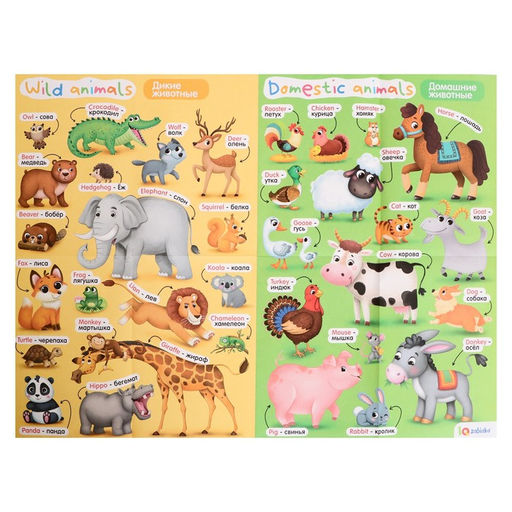 Обучающие плакаты Учим английский язык - Iq-zabiaka фото 7