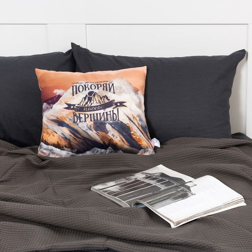 Подушка декоративная Этель Покоряй вершины 40х40 см, велюр, 100% п/э фото 4