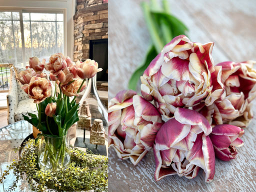 Тюльпан Виндхем - Долина роз фото 6