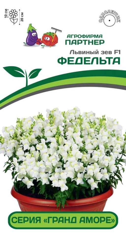Львиный Зев низкорослый крупноцветковый Гранд Аморе Федельта - Партнер фото 2