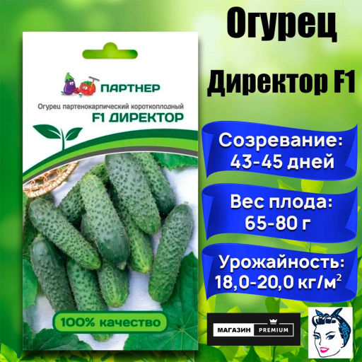 Огурец партенокарпический Директор - Партнер фото 2