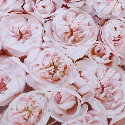 Цена за 10 шт. Бумага глянцевая двусторонняя Пионы, 0,5 х 0,7 м - UPAK LAND фото 3