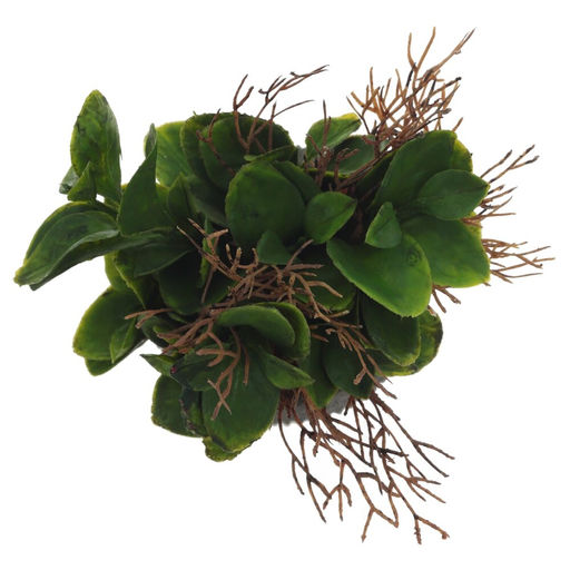 Цветочная композиция, L11 W11 H16 см, 2в. - Remeco фото 5