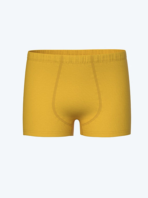 Bask?l? Erkek ?ocuk Boxer 3l? - Waikiki фото 2