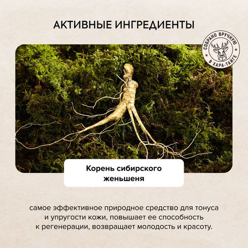 Крем-баттер для тела ночной Интенсивное питание, 300 мл / Natura Siberica / Doctor Taiga  фото 4