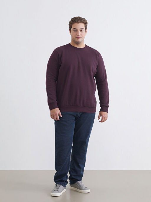 B?y?k Beden Bisiklet Yaka Erkek Sweatshirt