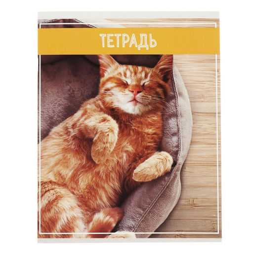 Комплект тетрадей из 5 штук (4 разные + 1 повторяющаяся), 36 листов в клетку Calligrata "Кошки", обложка мелованная бумага, блок №2, белизна 75% (серые листы)