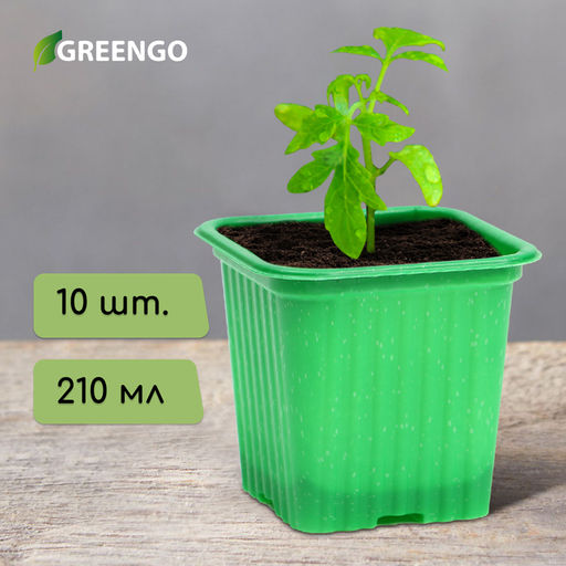 Цена за 3 шт. Горшок для рассады, 210 мл, d=7 см, h=6.5 см, зелёный, в наборе 10 шт., Greengo