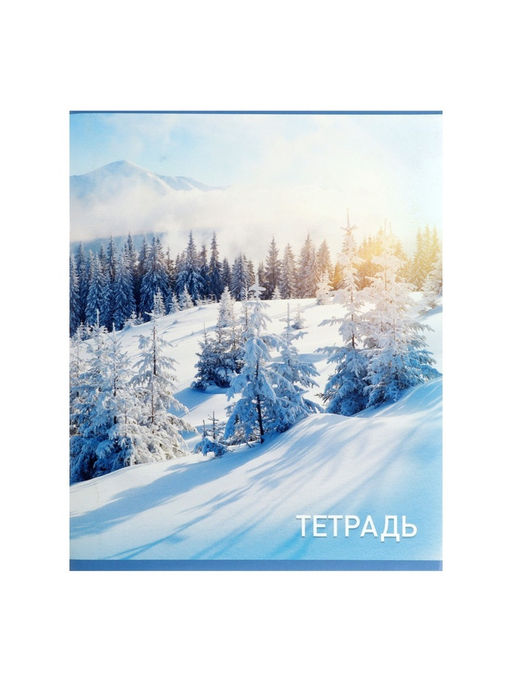 Набор тетрадей, 96 листов в клетку, Calligrata Природа, серые листы, 4 штуки  фото 7